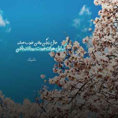 آهنگ یارم به یک لا پیرهن از محمدرضا شجریان + دانلود کیفیت 320