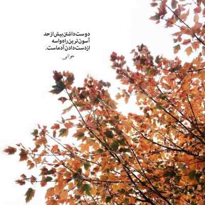 آهنگ یه بار جوون بودیم نچسبید اونم شایع ریمیکس