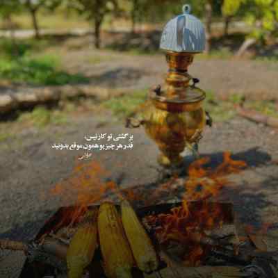 آهنگ آروم آروم عاشقم کردی انگار رضا شیری + دانلود