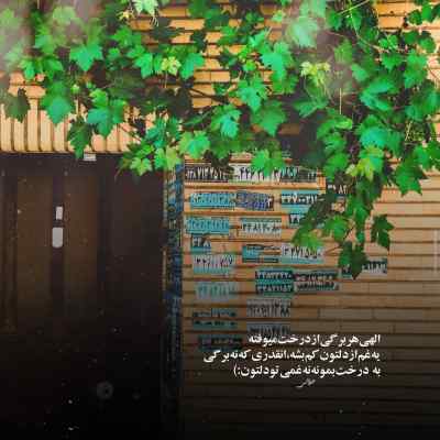 آهنگ تویی تویی دنیای من ارامش شب های من سالار عقیلی + دانلود