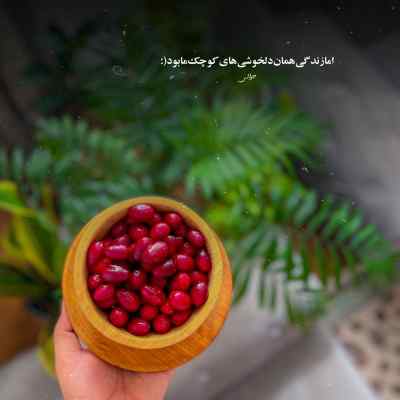 آهنگ تو که ماه بلند آسمونی آیدا شاه قاسمی + دانلود