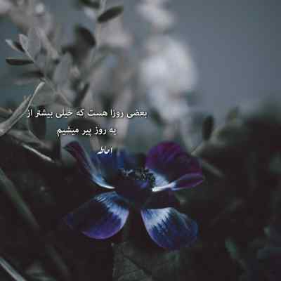آهنگ رفیق من رفیق من تو یاری و یاور من کیسان دیباج + دانلود