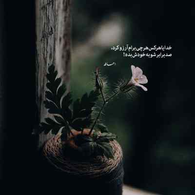 آهنگ آرزو کردم بعد از تو عاقل نشوم عرفان طهماسبی + دانلود