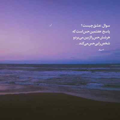 آهنگ منم شکار شکارم کن سپس ببوس و بچرخانم محسن چاوشی