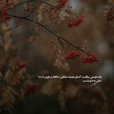 آهنگ من شدم عاشق اونی که عاشقم نی شایان یو + دانلود