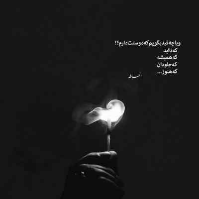 آهنگ اگر چه عمری ای سیه مو چون موی تو آشفته ام غزل شاکری
