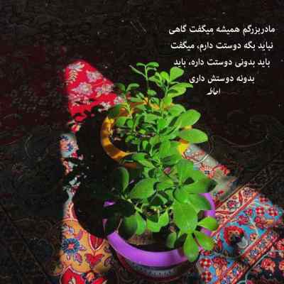 آهنگ فصل پاییزی من که میرسه نفسم به عشق تو پر میزنه + دانلود