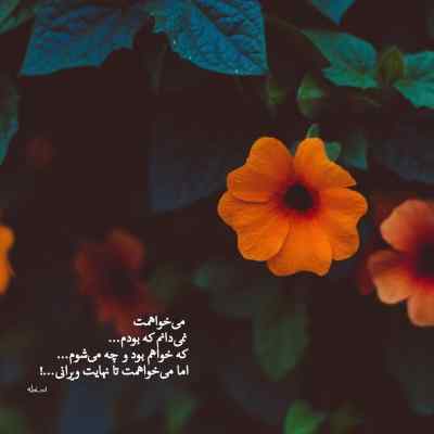 آهنگ اونی که برای من زندگی بود دیدی از دستم رفت منوچهر سخایی