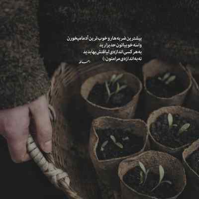 آهنگ فصل پاییزی من که میرسه نفسم به عشق تو پر میزنه + دانلود
