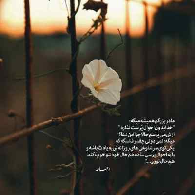 آهنگ گل نازم تو میشی ایشالا ستار + دانلود کیفیت 320