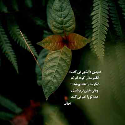 آهنگ حالم از شرح غمت افسانه ایست علیرضا قربانی + دانلود
