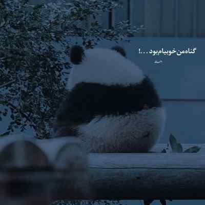 آهنگ یه روزی سر پایینی یه روزی سر بالا یانگ صادن + دانلود