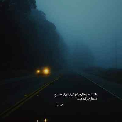 آهنگ جینگ و جینگ ساز میاد از بالای شیراز صدای زن + دانلود