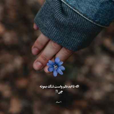 آهنگ دختر این شهر واسه من دلدار نمیشه آغاسی + دانلود