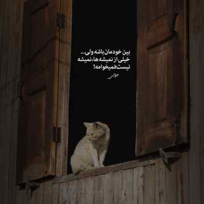 آهنگ یک جون خالی دارم میخوام که قربونت کنم گروه آرین