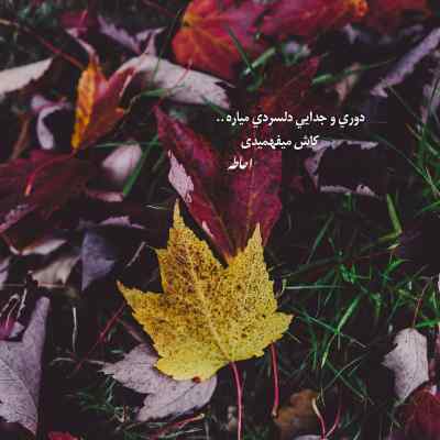 آهنگ جینگ و جینگ ساز میاد از بالای شیراز صدای زن + دانلود
