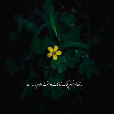 آهنگ نه بودی دوای دردم نه خواستی برگردم سهیل رحمانی