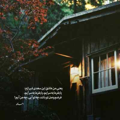 آهنگ ناز داره کی مثل خودم دلبر لجباز داره از ناصر پورکرم + دانلود