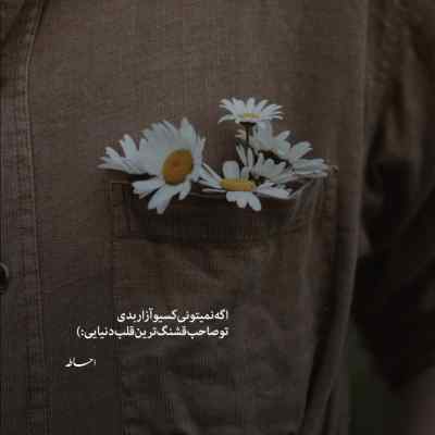 آهنگ جوری گذاشتمت کنار خودم نمیشه باورم علیرضا طلیسچی