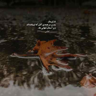 آهنگ نازی نازی نازی جون ایخی نسازی نازی سعید کریمی + دانلود