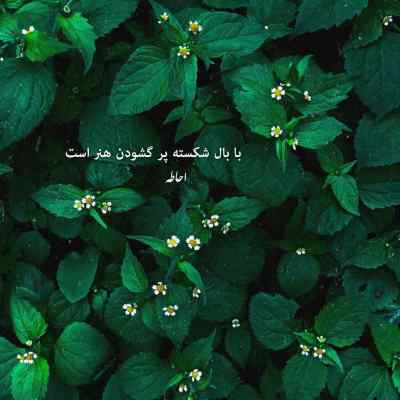 آهنگ یه روز دوتایی فرار میکنیم شروین حاجی پور + دانلود