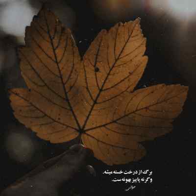 آهنگ من نه دیگه بغل میخوام نه نیمه ی گمشدمو + دانلود