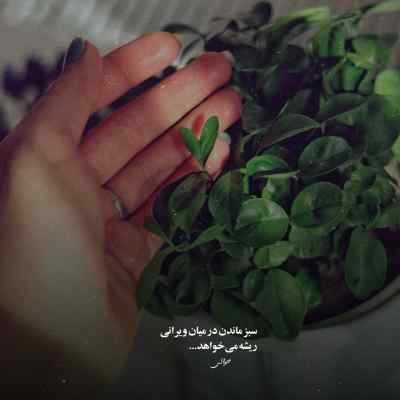 آهنگ آی دختر شهر پریا به کسی جز من دل ندیا اهورا + دانلود