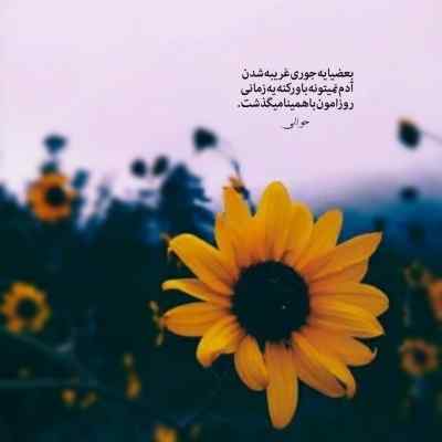 آهنگ بعد من کیه چون تموم شد این رابطه بره من دیگه سجاد شاهی
