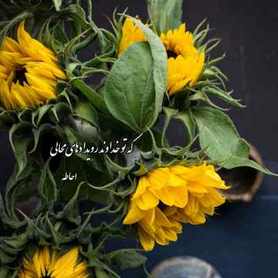 آهنگ تب کرده قلبم بد قلق مرصاد الف + دانلود