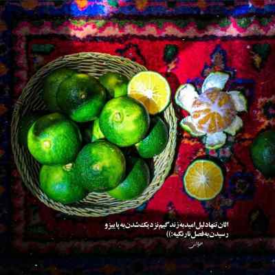 آهنگ تا ناله ی ساز میاد فصل آواز میاد سیاوش شمس + دانلود