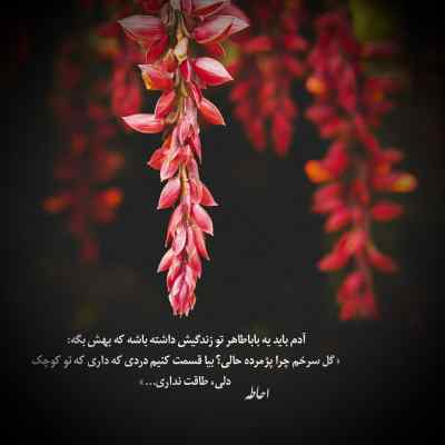آهنگ لای این بازیگرا مسافرا باشه یکی الجان + دانلود