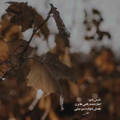 آهنگ چرسی و هومان واسه یه لحظه + دانلود کیفیت 320
