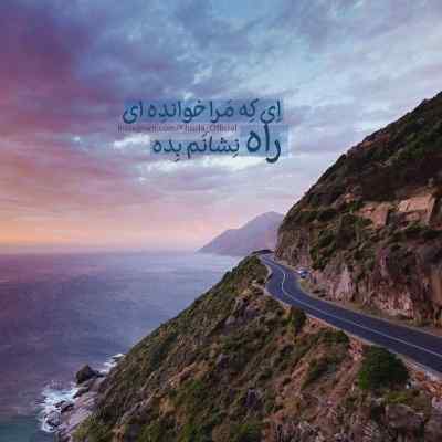 آهنگ ز جفای چرخ افسونگر بگرفتش شاهینی در بر داوود مقامی