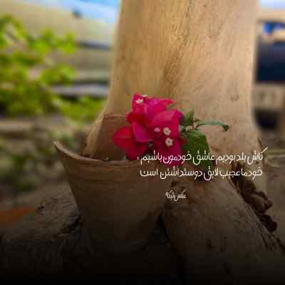 آهنگ بعد خدا فقط خودتی به خودش قسم دلم بد تنگته