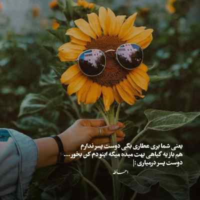 آهنگ 2 seater (house edit) از dj gummy bear ریمیکس