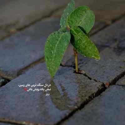 آهنگ بده دلتو به دلم من با تو فابم بگو همه برن آرمین 2afm