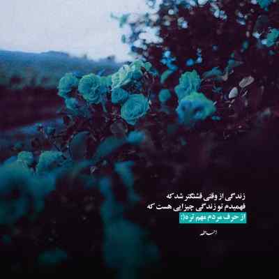 آهنگ این دافم چپ شده هی میگه به من که هندلم کن + دانلود