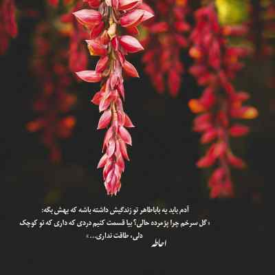 آهنگ هرکی بجز تو پیشم باشه سر میبره سریع حوصلمو مجید رضوی