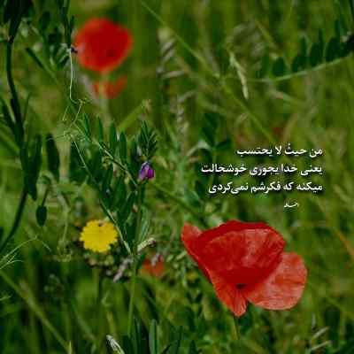 آهنگ بانو بانو بانو ای بالا بلنگ کردی اینستا ریمیکس