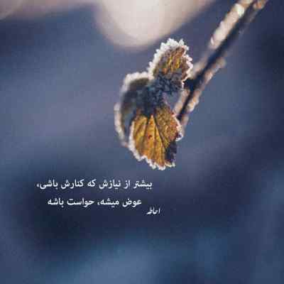 آهنگ باید بله رو به ما بگی که مام حلقه طلا بدیم تاک داون + دانلود