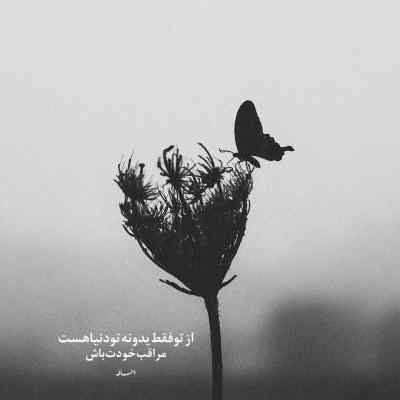 آهنگ بذار همه بدونن همه مردم این شهر افشین + دانلود