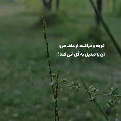 آهنگ بزار رو سینم سرتو چشمای خیس و ترتو بیس دار ریمیکس