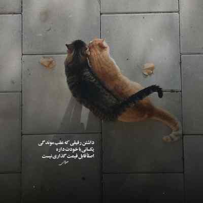 آهنگ مه خوم شیتم شیتم نکه محسن لرستانی بیس دار ریمیکس