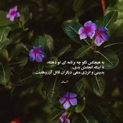 آهنگ یه دل نه صد دل عاشق ولی انگار نه انگار speed up ریمیکس