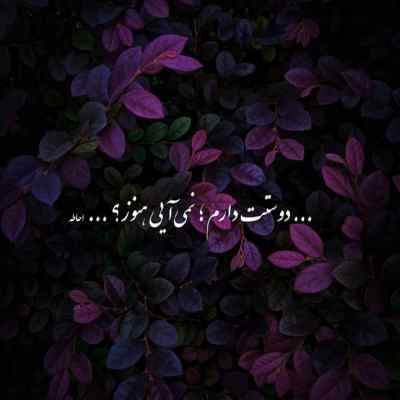آهنگ دوماد باید ناز بکشه فاز بخره باز بکشه تاک داون + دانلود