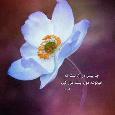 آهنگ دوست داشتن زیادی خودش یه جور عذابه + دانلود