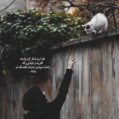 آهنگ نوشته بودی زندگی چنگی به دل نمیزنه + دانلود