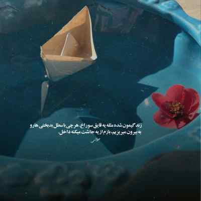 آهنگ دخترا گل بچینید بوی نکنید عباس حداد + دانلود محلی