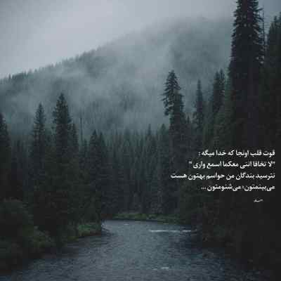 آهنگ هر شاخه بید لرزون حالا دست منه سرگردون + دانلود