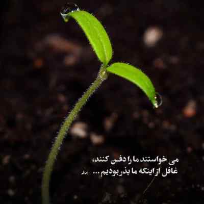 آهنگ Just The Two Of Us از Grover Washington Jr خارجی + دانلود